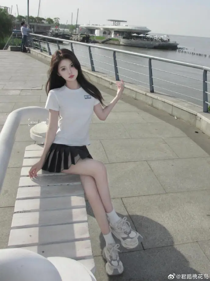 动画盗版数据可视化图表